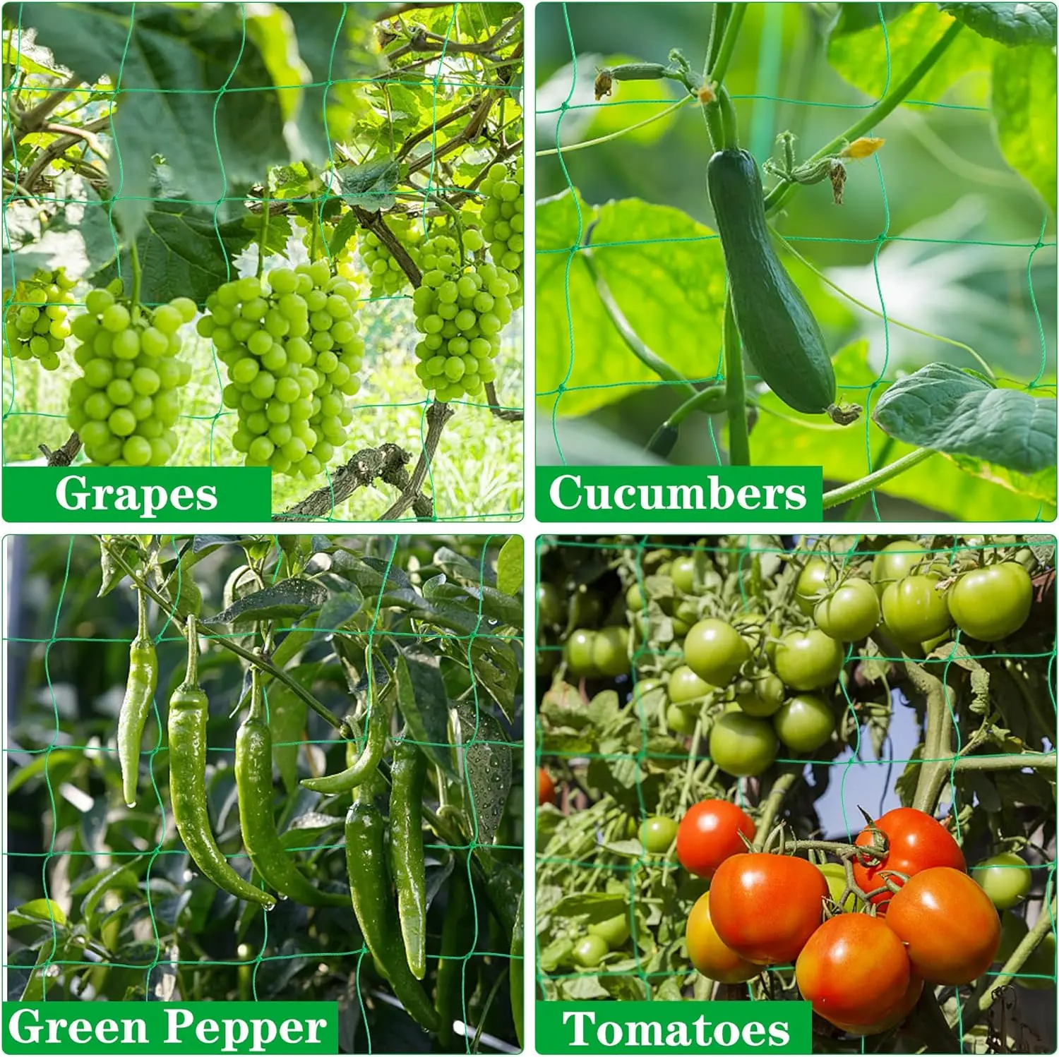 Plant Trellis Netting Garden heavy duty Vine Climbing Netting net for Cucumber Tomato Vegetables fruit Grow Holder Brackets