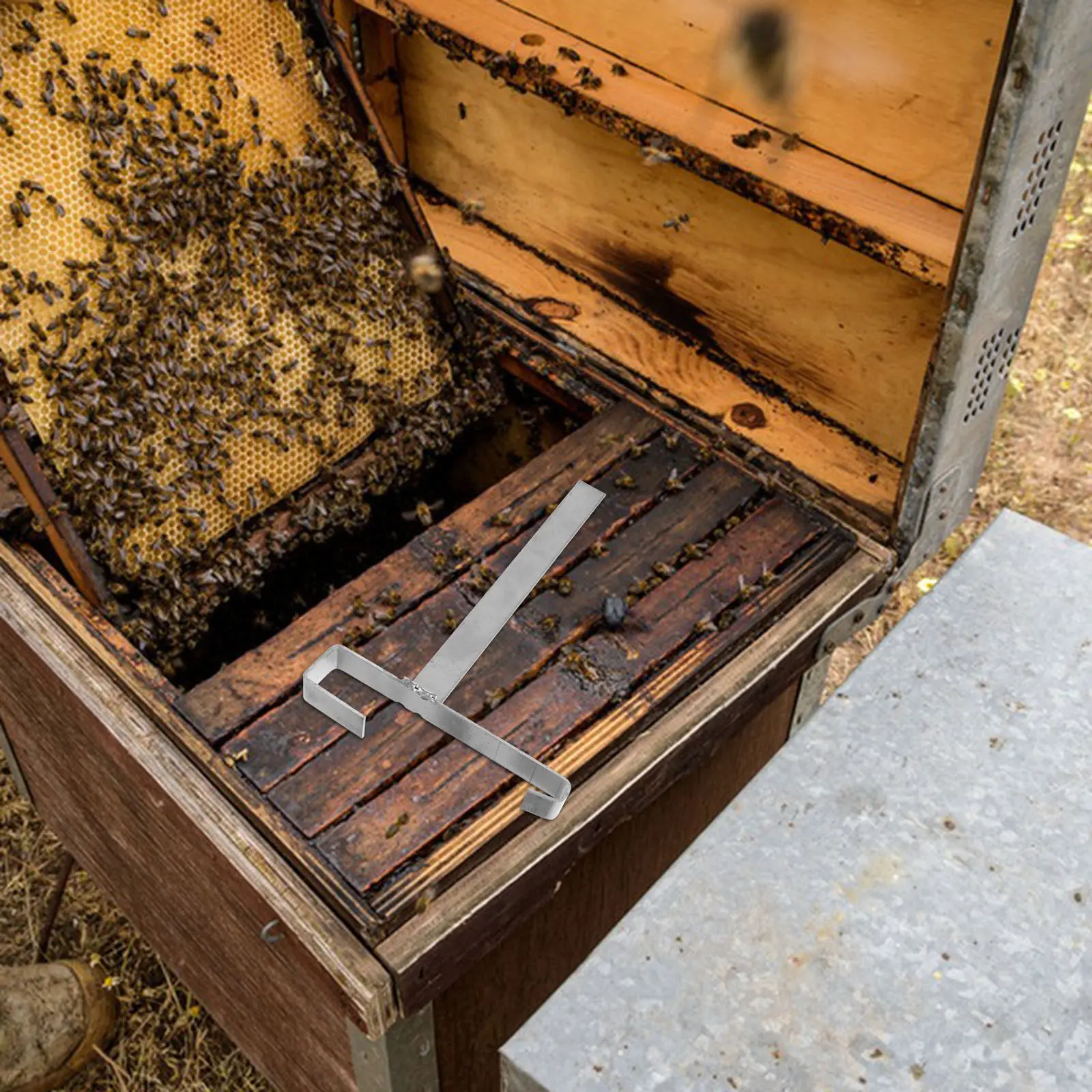 

2Pcs Stainless Hive Frame Perch Stand Reusable Multifunctional Solution for Beekeepers Beehive Frame Holde