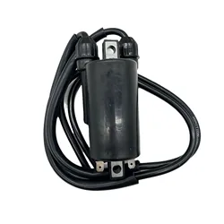12V For Motorcycle Accessories CB400/650/ CB500 GL1200 UNIVERSAL 5002.2  2-cylinder  Ignition Coil High Pressure Bag Lgnite