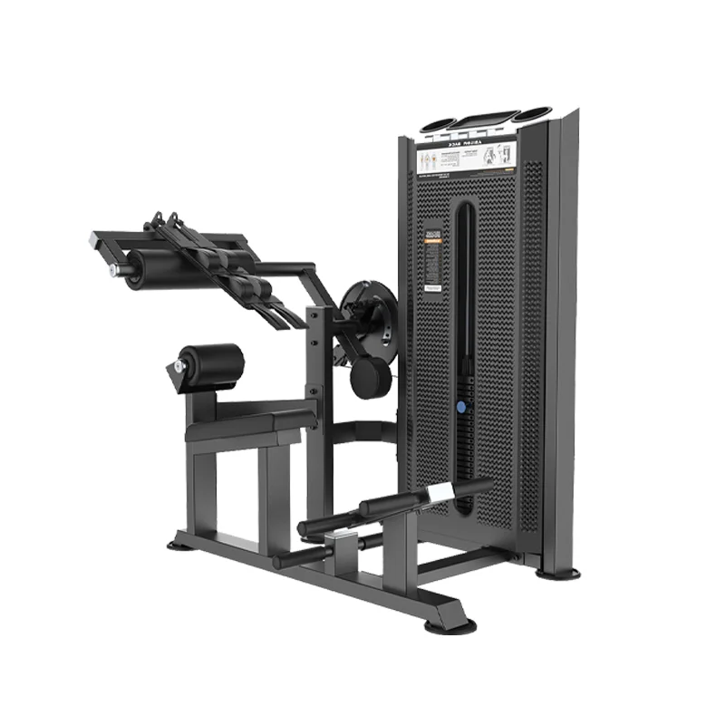 Commercial Grade Steel Fitness Gym Equipment Best Quality Factory Sale Abdominal Crunch/Back Extension for Training