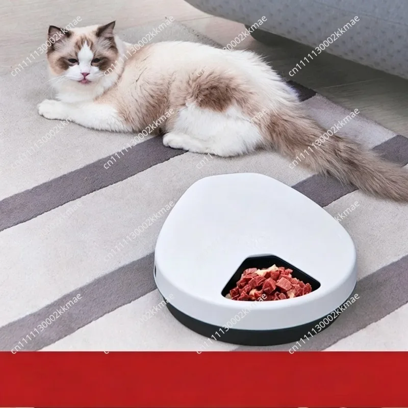Pet refrigerator, automatic wet food feeder, plug-in refrigeration, and smart cat food machine for fresh-keeping meat