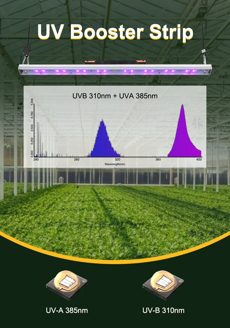 Uva Uvb Indoor Bloom Uv Attachment Booster Led Grow Lights For Medical Plant