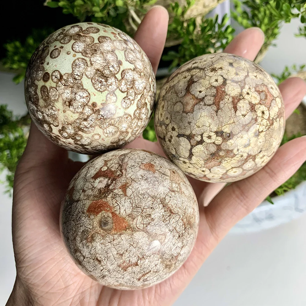 1pc Exquisite Dandelion Agate Ball Sphere, Natural Garden Crystal Ball, with Unique Patterns, Polished Sphere for Desk Ornament