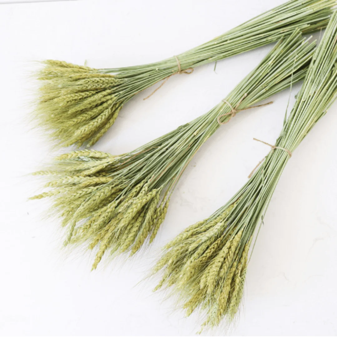

Boho Chic Wheat Ear - 17" Ideal for DIY wedding and office decorations, table gardens, vase fillers and home decor