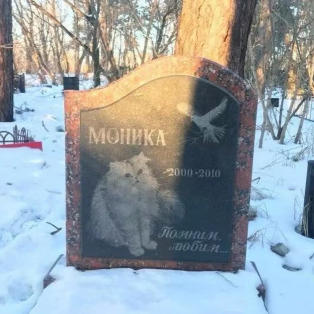 Premium Luca Modern Black Granite Pet Headstone Custom-carved Outdoor Memorial Stone with Custom Processing