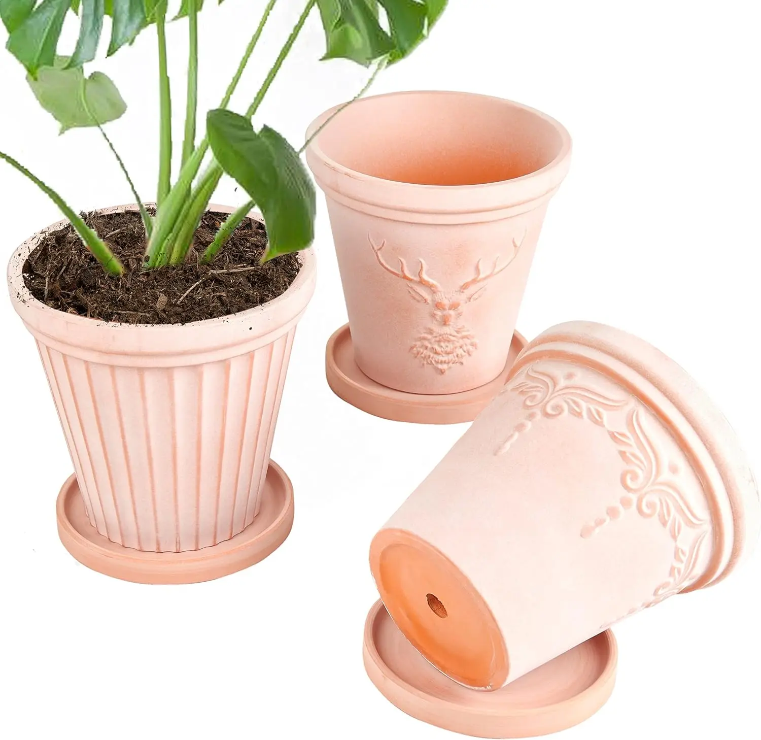 Indoor and Outdoor Use, Terra Cotta Pots with Saucer, Set of 3, 8 Inch, Drainage Hole, Embossed Design