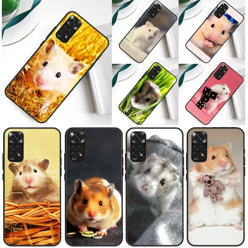 Cute Adorable Hamst…