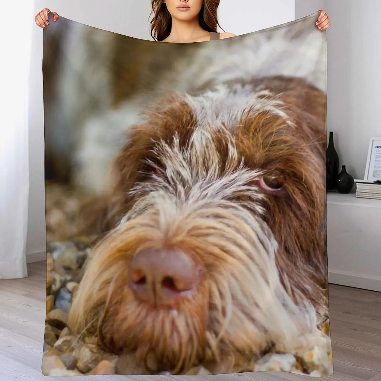 

Lying down Spinone Throw Blanket Luxury Throw Bed linens Shaggy warm winter Blankets
