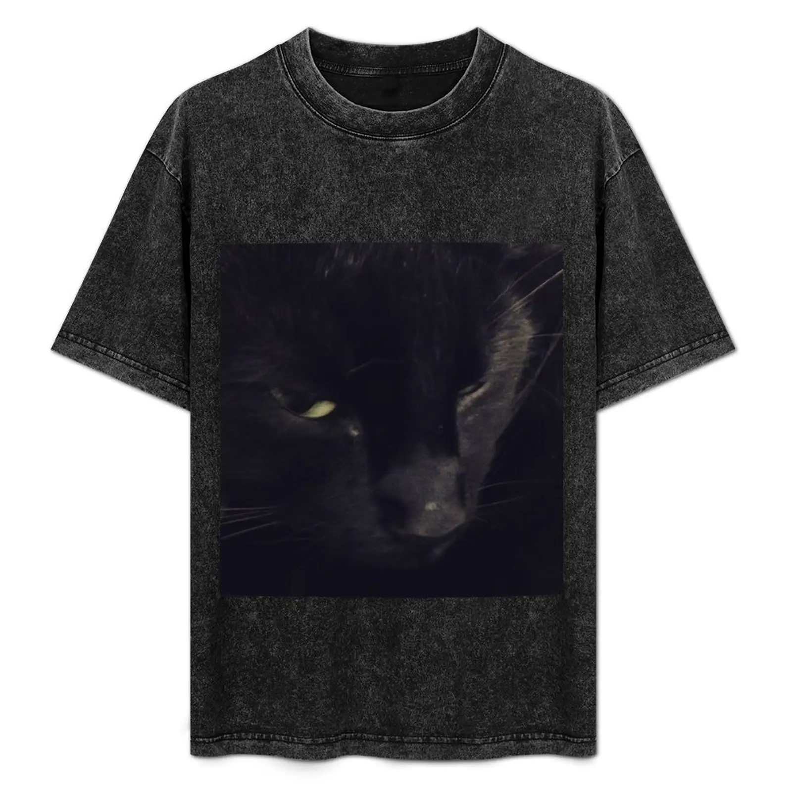 

Rufus (black cat) T-Shirt animal prinfor boys street wear t shirts for men