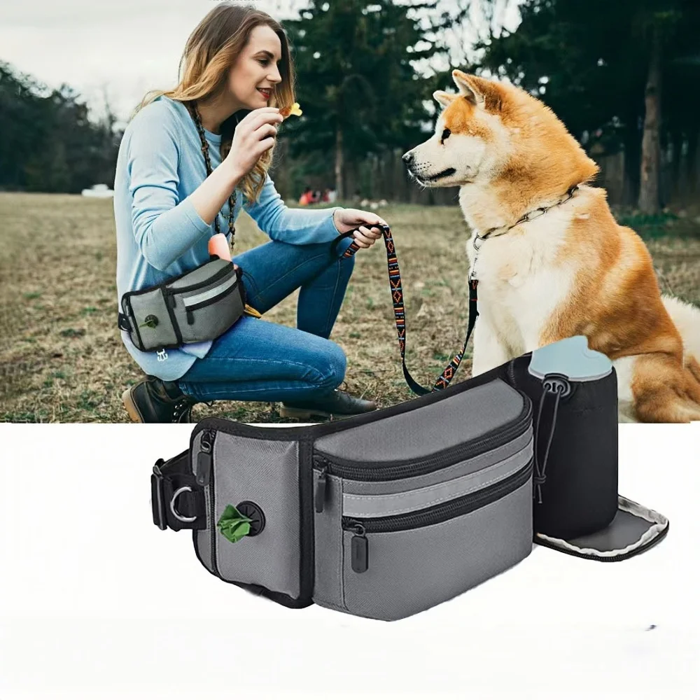 #46 Trending Puppy Walking Bags Right Now