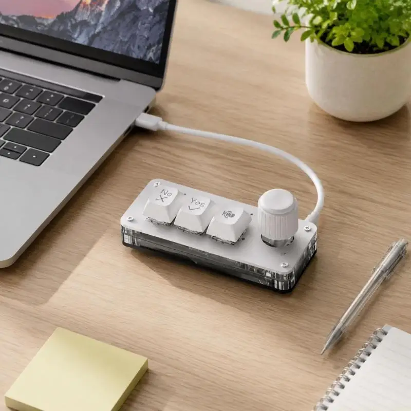 Desk Voice Entry Keypad with Voice for Editing Support Daily