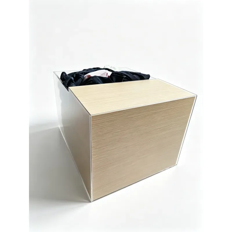 Modern Transparent Acrylic Shoe Cabinet Sturdy Polished Edge Large Storage Box Custom Folk Art Design Household Wardrobe