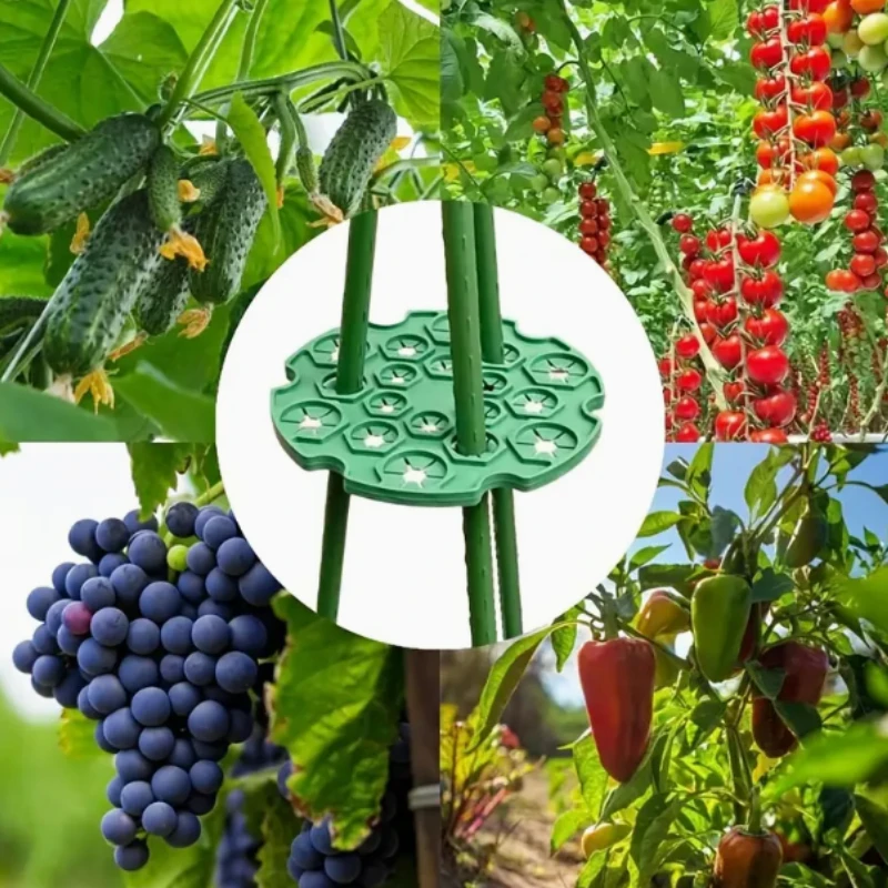 1pc Garden Plant Support Balcony Plant Connector with Protective Tray Bamboo Poles Garden Climbing Stake Plant Support Connector