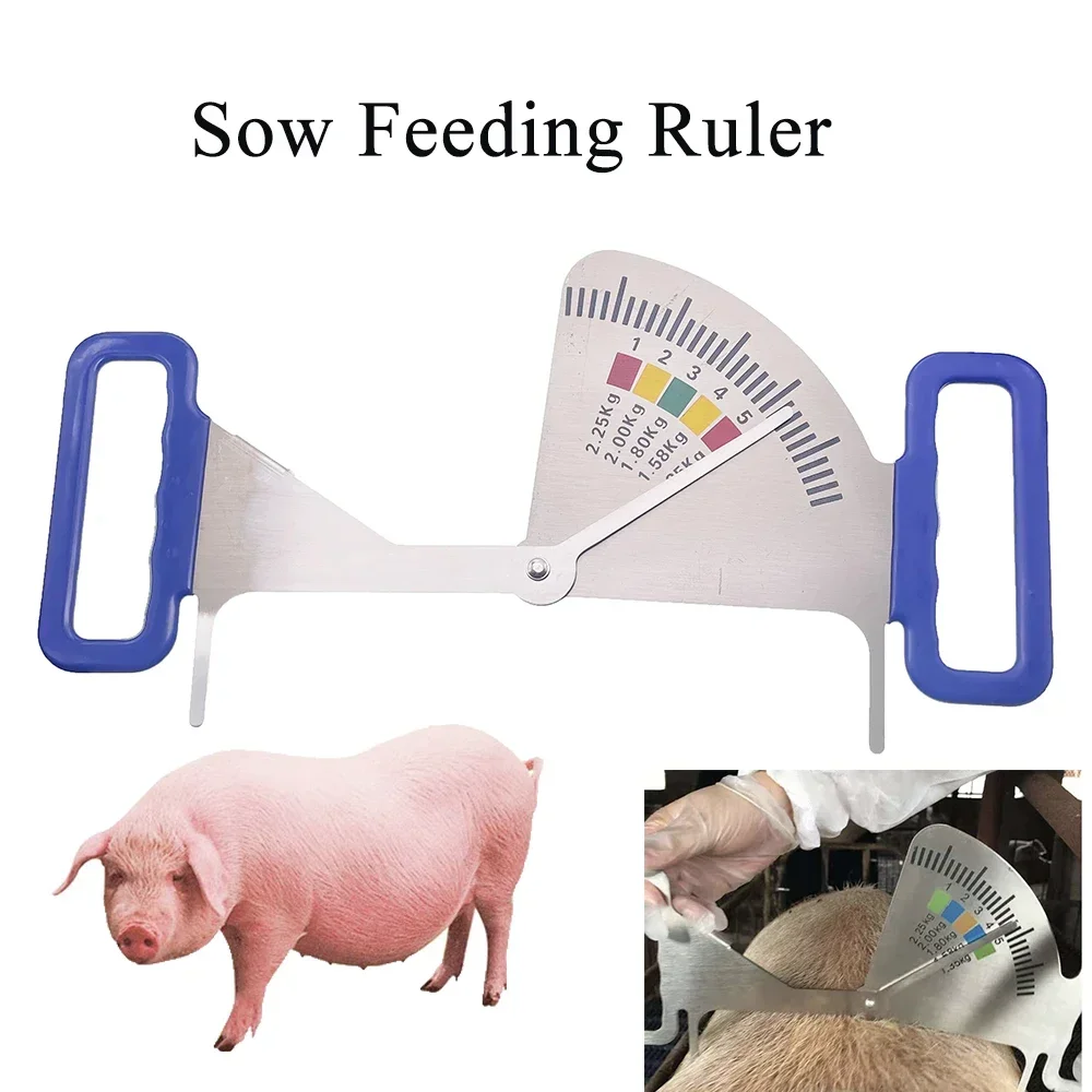 Professional Gestation Sow Backfat Range Preset Feeding Amount Sow Backfat Caliper Stainless Steel Ruler Pig Farming Tools