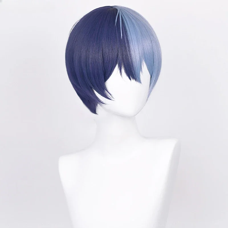 High Quality Anime Aoyagi Toya Shinonome Akito Cosplay Wig Heat Resistant Hair Halloween Men Anime Wigs image 3