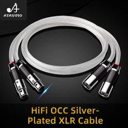 One Pair HiFi XLR Cable for Mixer Amplifier OCC Silver Plated Core Balanced 2XLR to 2XLR Male to Female Audio Cable