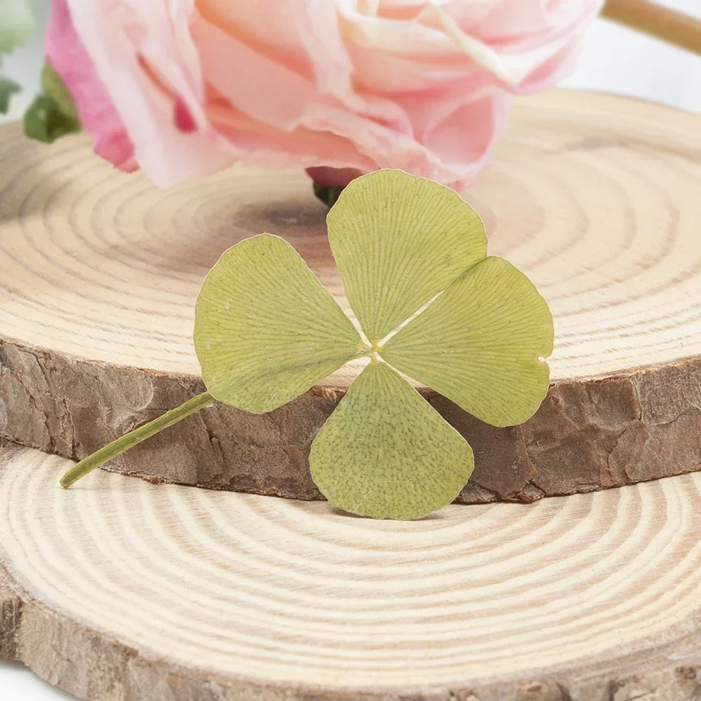 24pcs/Lot Dried Flower Natural Pressed Four Leaf Clover For Epoxy Resin Pendant Jewelry Making Craft DIY Nail Art Accessories
