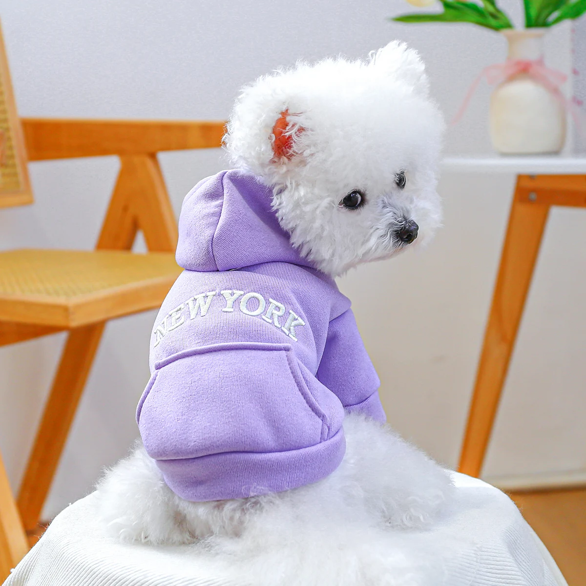 سترة ربيع نيويورك ملابس الحيوانات الأليفة الأرجوانية للكلاب والقطط سترة جيب مضادة للقطيفة