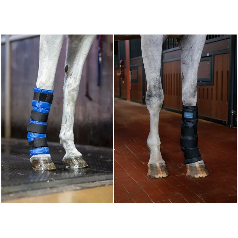 Horse Ice Cold Pack Leggings Cooling Boot Bag Equestrian Leg Guard Cold Pack 24 Small Ice Packs For Horse Cooling Relieving Pain