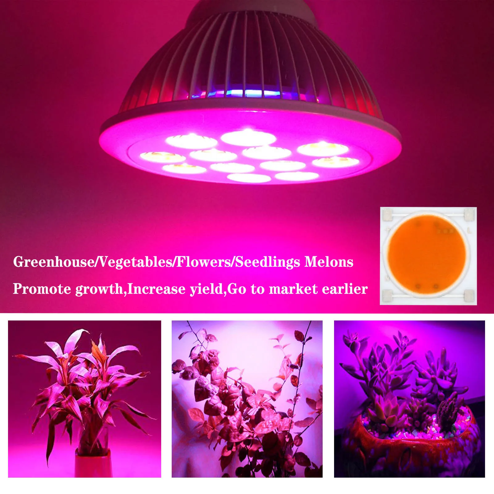 Imagem -04 - Chip de Cerâmica Led Cresce Luz para Vegetais Interiores Crescimento Vegetal Hidropônico Lâmpadas de Crescimento Vegetal ac 220v 10w 20w 30w 50w 1919 mm