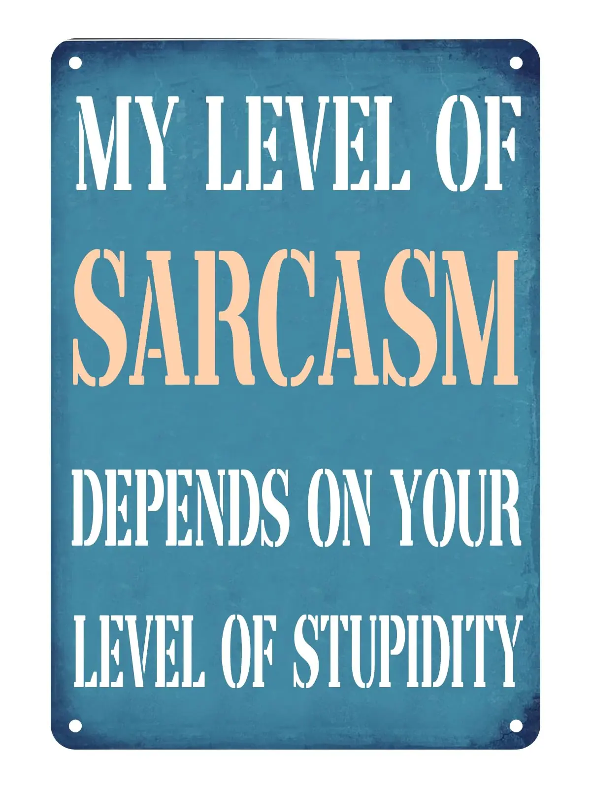 Funny Sarcasm Signs For Bedroom Metal Tin Sign Unusual Metal Tin Sign Garage Decor For Men Cave Shop Signs For Garage My Level O