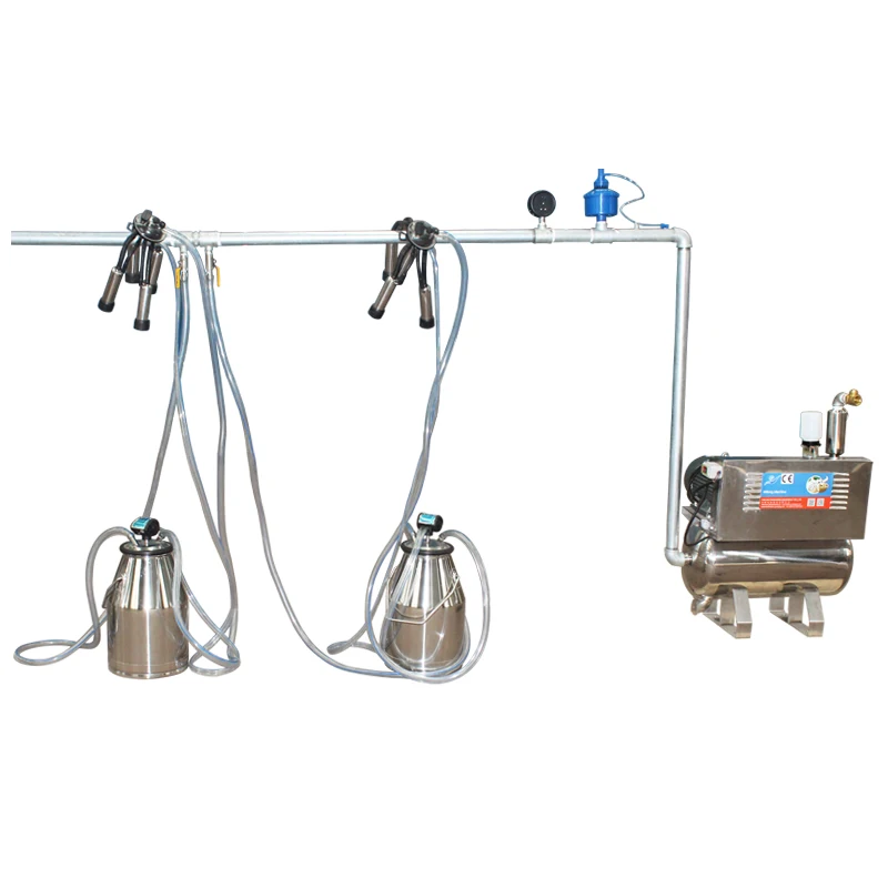 

Pail Bucket Type Cow Goat Vacuum Pump Milking Machine With 12pcs Milking Bucket