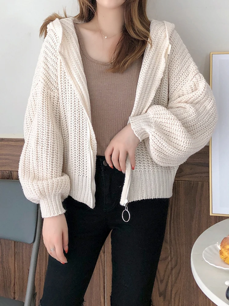 Hooded Zipper Knitted Women Cardigans Sweater Loose Long Sleeve Cardigan Sweaters for Woman Autumn Winter Casual Solid Knitwear