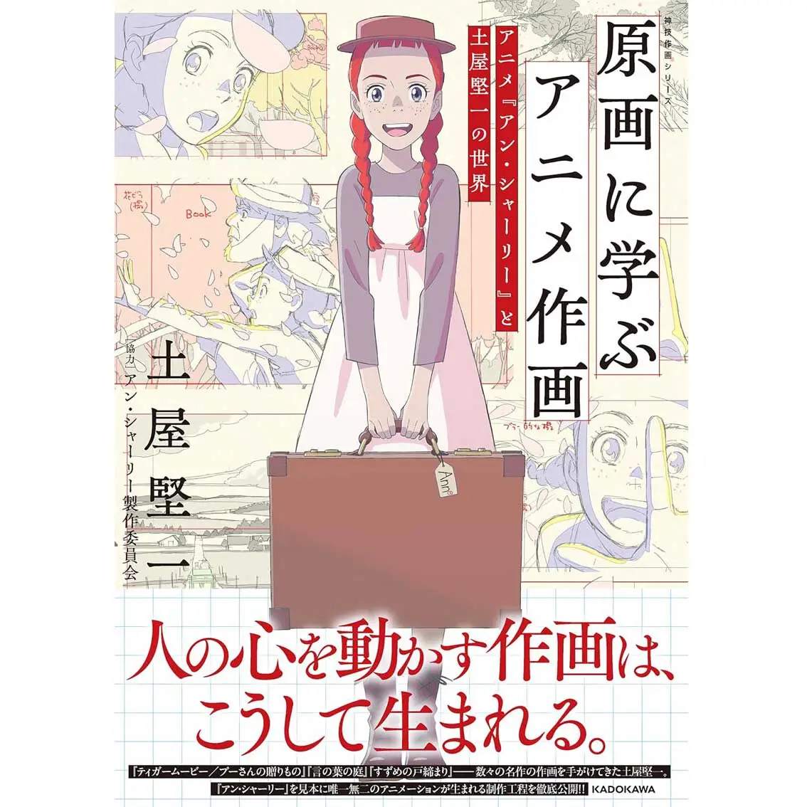 Anime Drawing Guide By Kenichi Tsuchiya Anne Shirley Kamiwaza Animation Skill Book Japanese Original Import