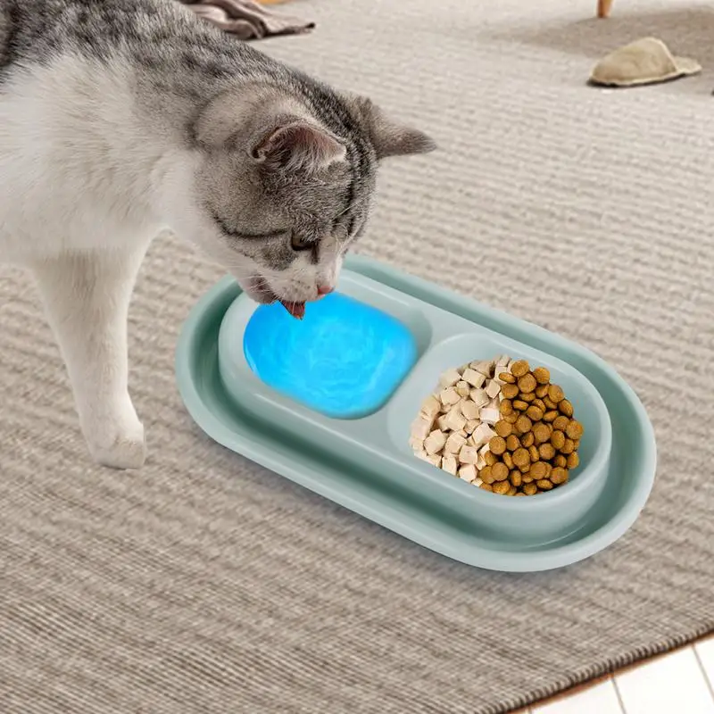 Cat Bowls For Food And Water Small Dog Dishes For Food And Water Dishes For Food And Water Puppy Food Bowl Food Bowls For Medium