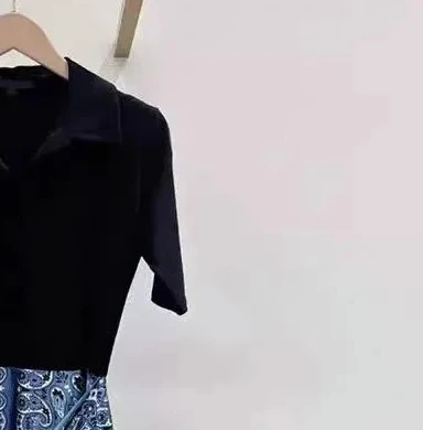 

2025 women's new short-sleeved patchwork dress round neck slim fit fake two-piece fashion midi robe