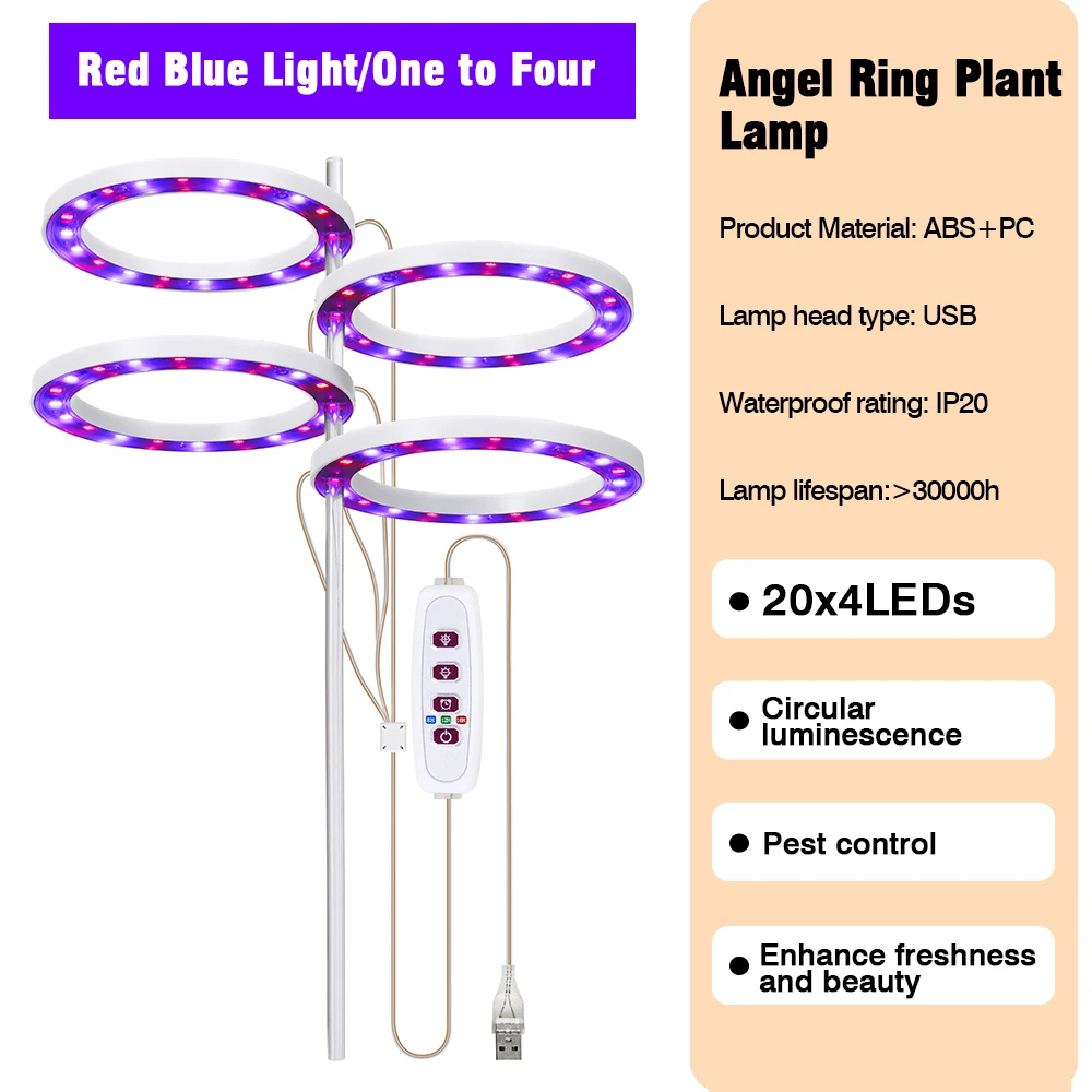 Blue Red Light 4