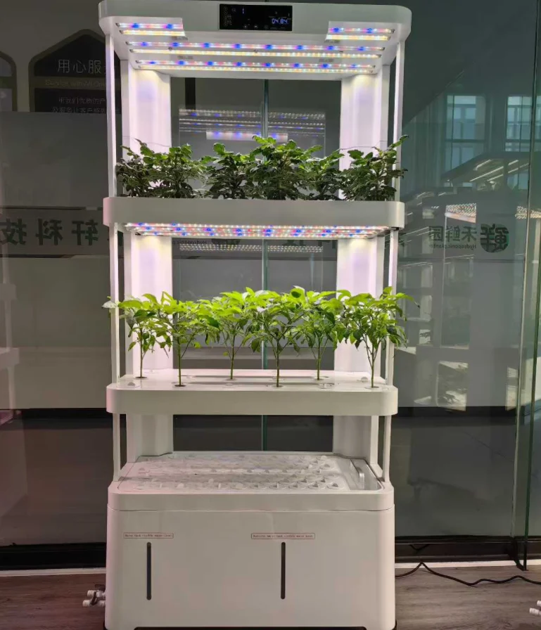 All-in-One Smart Hydroponic System Lighting & Water Cycle Timer Indoor Planting Blueberry, Lettuce, Spinach, Basil Cultivation