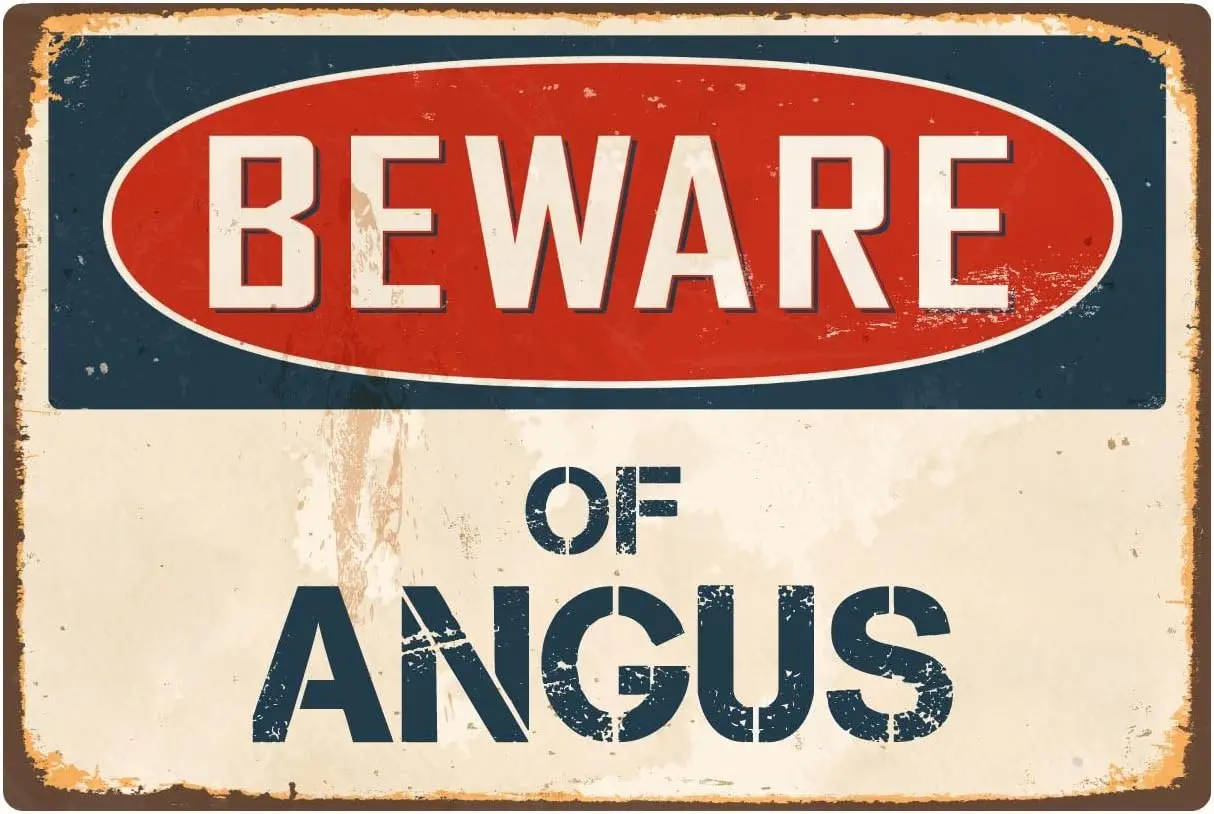 1 шт., наклейка «Пират, остерегайтесь ангела», винтажный алюминиевый металлический знак в стиле ретро, 8 x 12 дюймов, VS019