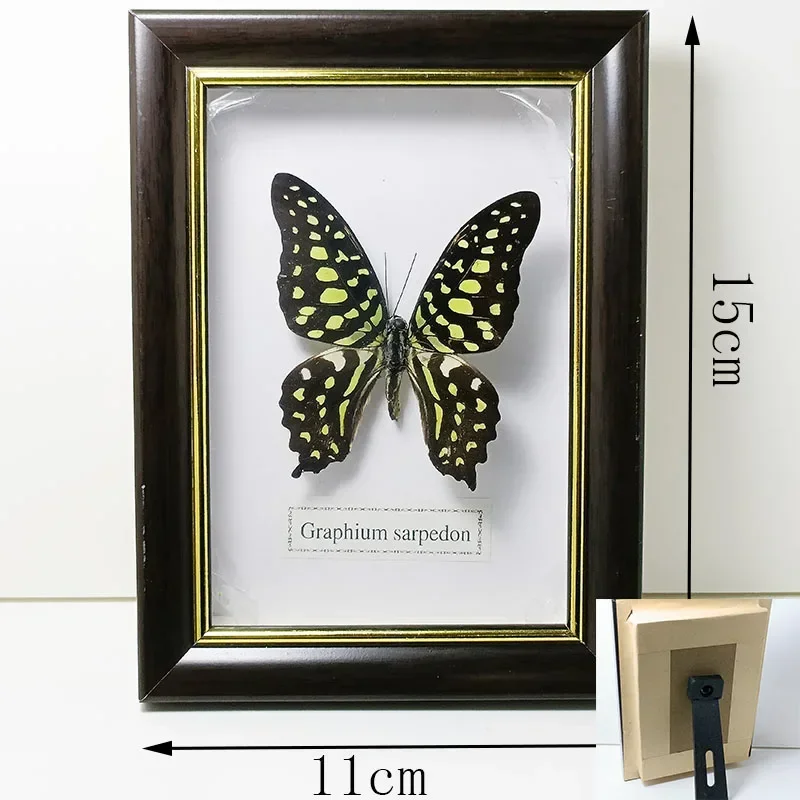 l Butterfly Specimens Rectangular Photo Frame Home Decorations Collectible Specimens Living Room Decoration