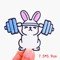 PE7101CT