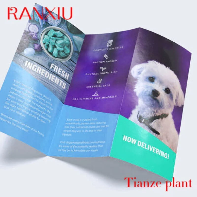 Custom custom printing product leaflet flyer 3 fold leaflet Z cards brochure printing