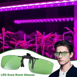 Gafas de seguridad para habitación con luz LED, lentes polarizadas UV elegantes para tienda de cultivo, invernadero, planta hidropónica, Protector ocular