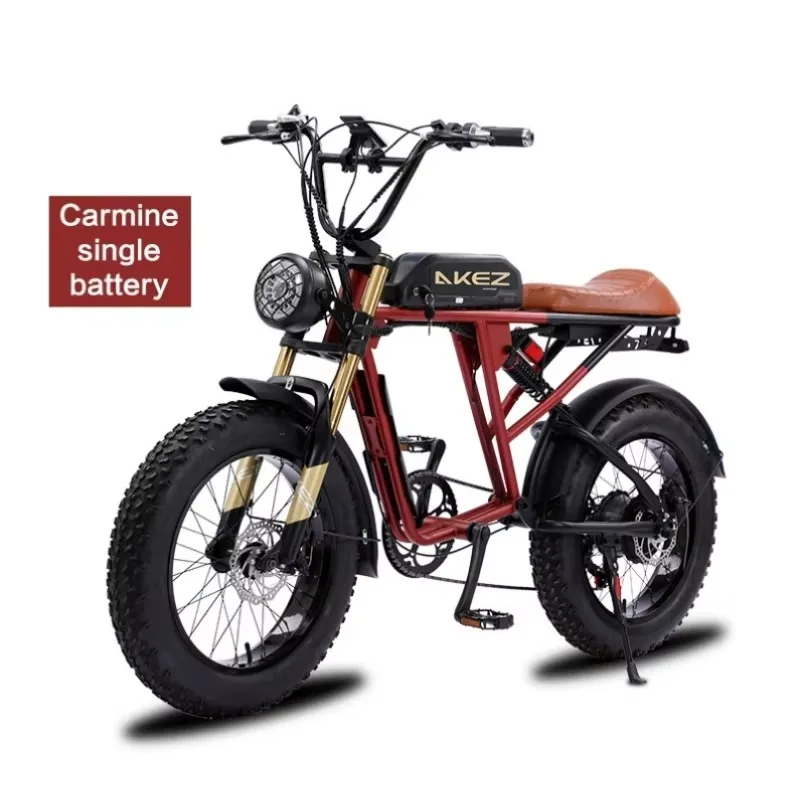 High Quality 750W 13Ah Rear Hub Motor Disc Brake Lithium Battery Electric Bike 45km/h for Travel