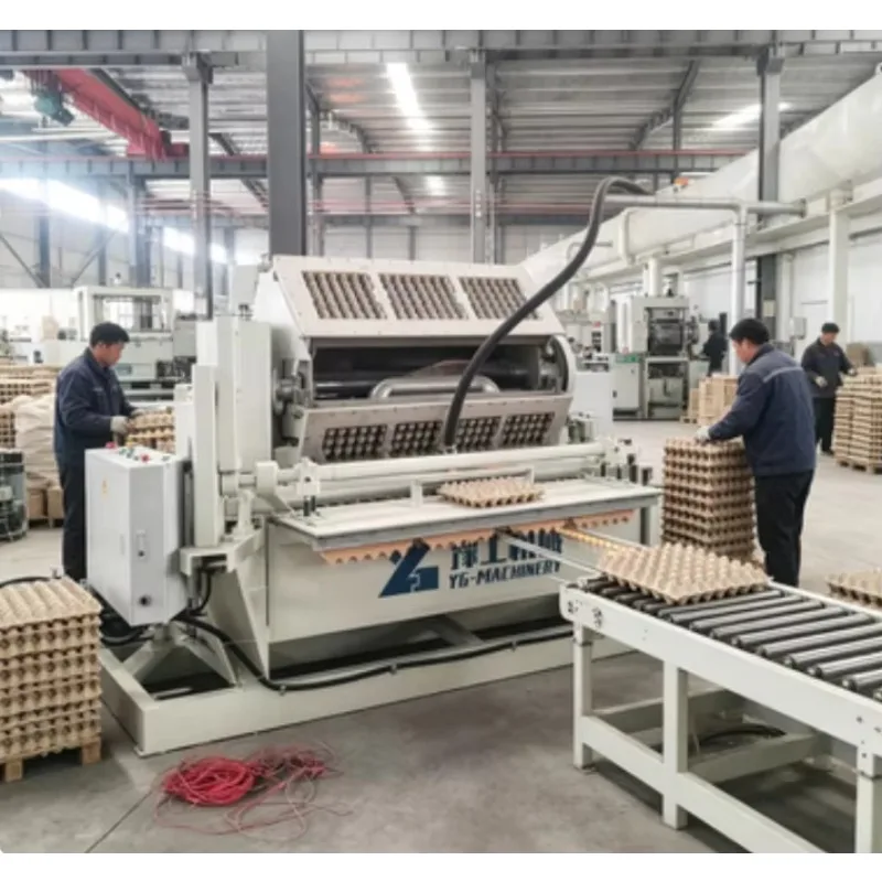 Paper Pulp Tray Machine For Egg Shoe Fruit Packaging Automatic Forming Waste Cardboard Recycling Equipment Customized Usage