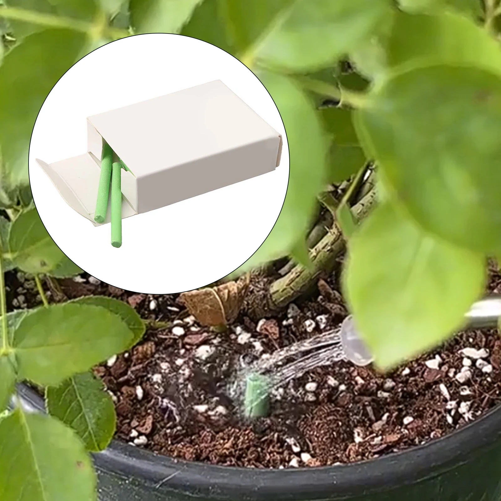 健康的な成長のためのリン窒素、植物栄養バー、野菜と花のための複合肥料、18個