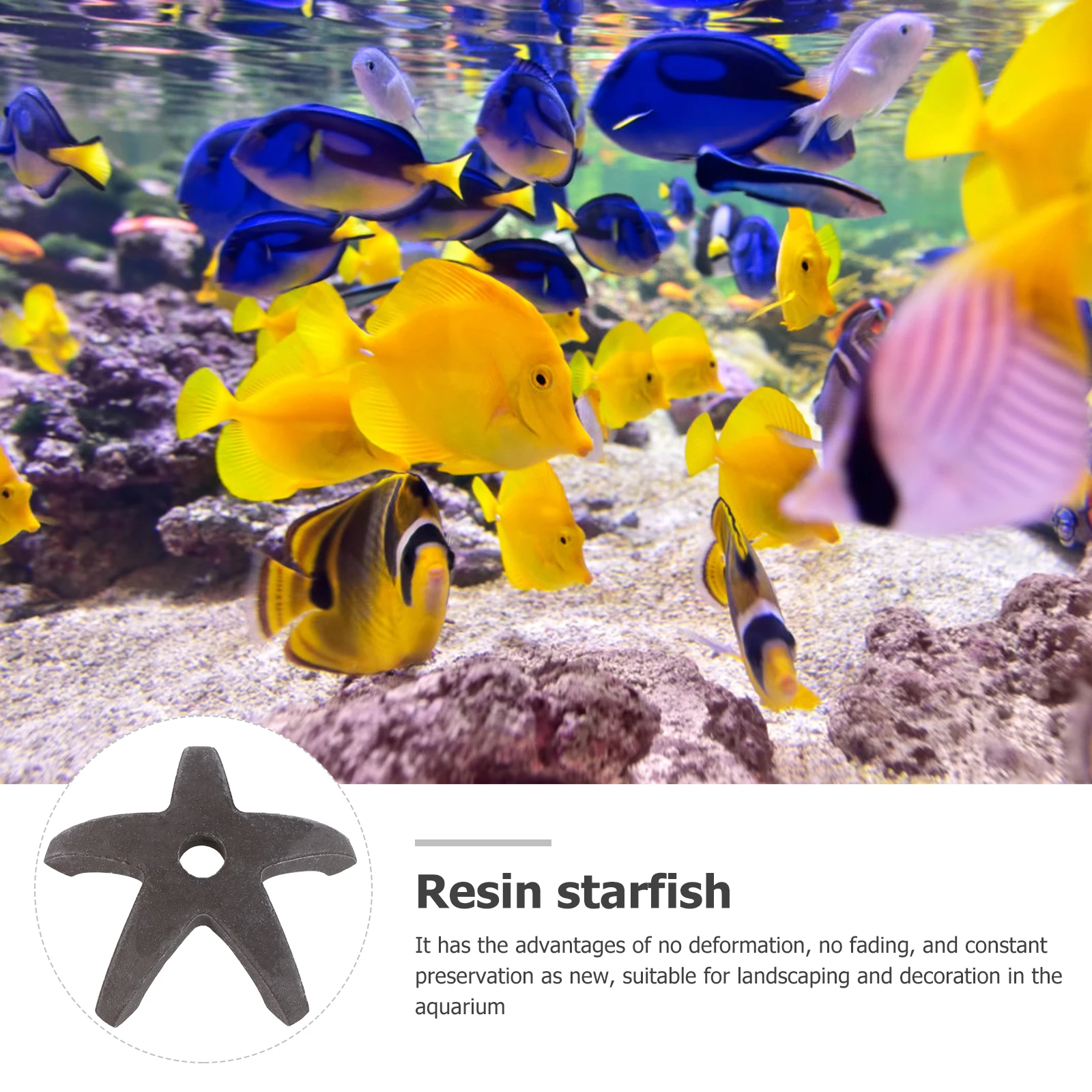 

5pcs Shrimp Hiding House Natural Pottery Aquarium Decor Fish Tank Ornament Spawning Hole Hiding Cave Aquarium Landscaping