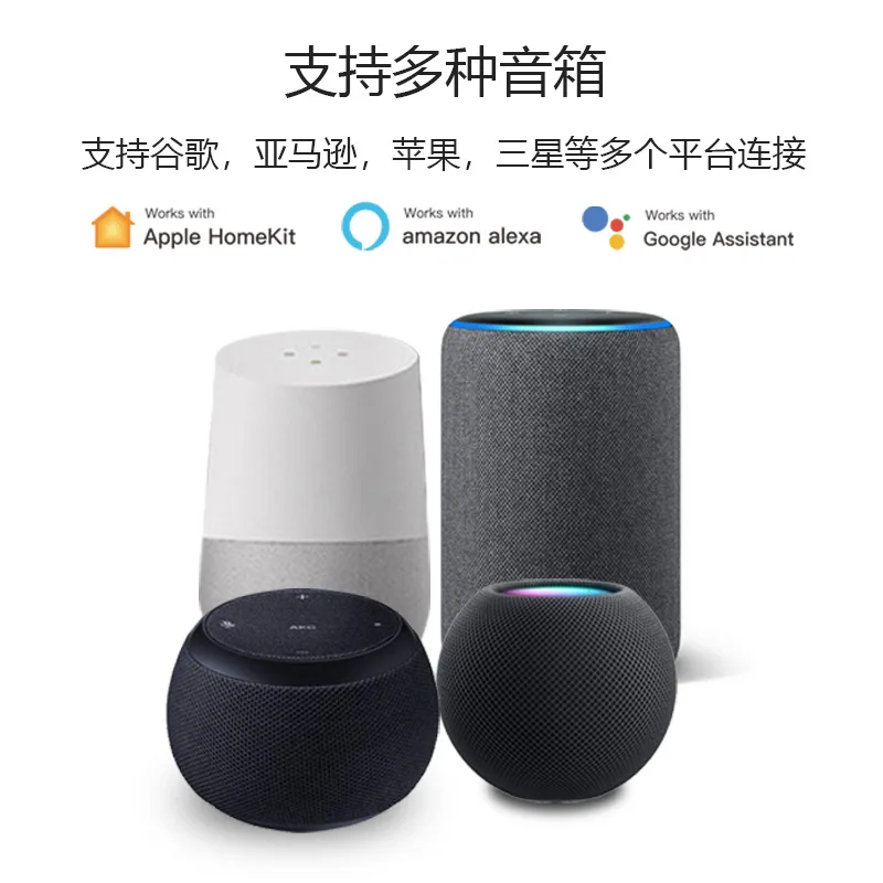Matter Cross-platform protocol Smart socket Small batch customization Can be marked Support voice control Remote control