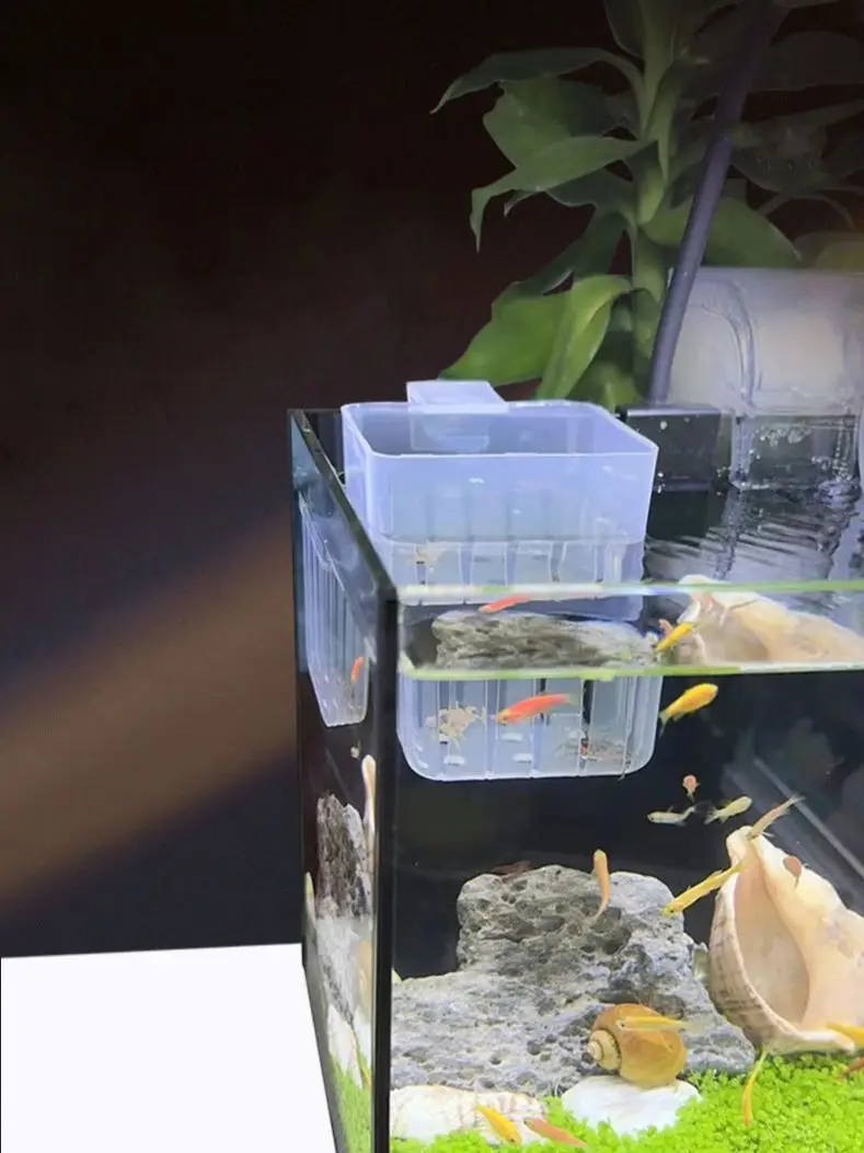 حامل نباتات طوارئ مثبت على الحائط سلة مائية شفافة لحوض السمك - كوب منزلي لتزيين المناظر الطبيعية المائية #4