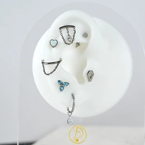 Sağ, Grand-ASTM-F136 Titanyum, 16G, Gizli Akım Eğrisi, Tepe, SK Alanı, Kıkırdak, İçten Dişli Küpe, Sarmal Saplama, Delik Windows sunroom için en iyi 4 panjur satışı-no. 1