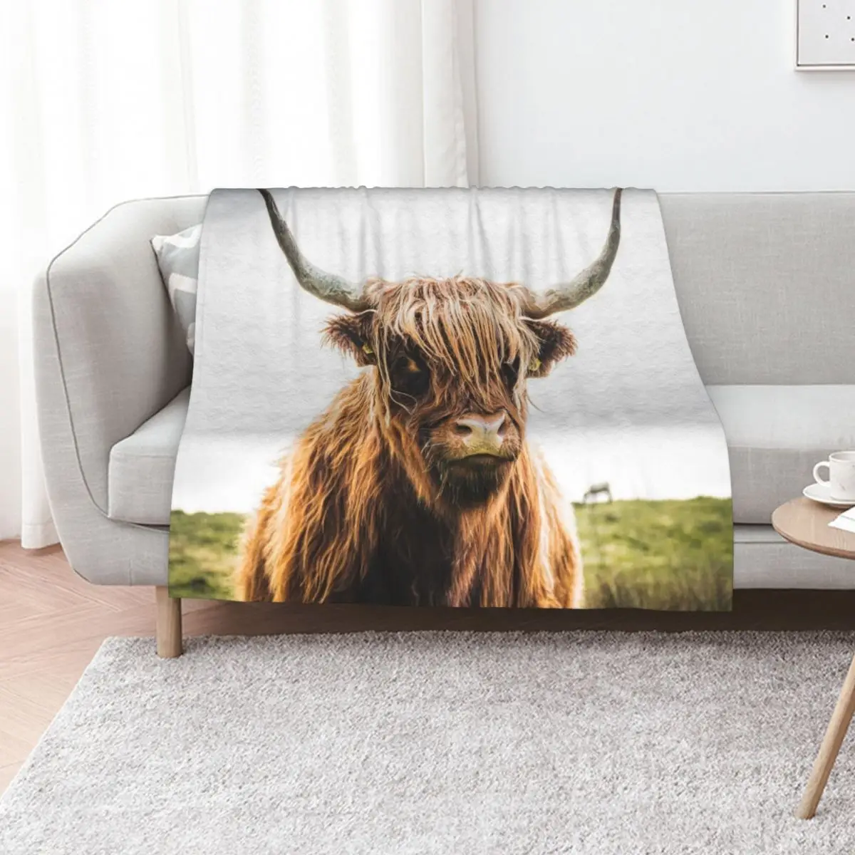 Hairy brown cow in a meadow Throw Blanket Soft Beds Quilt Bed cosplay anime Blankets For Baby Single Blankets