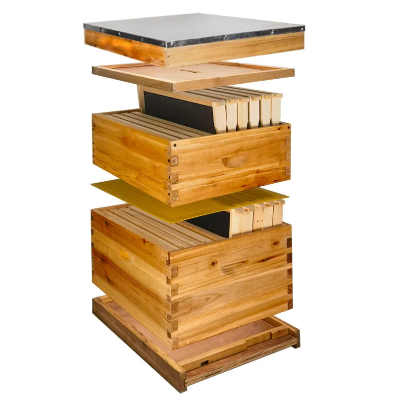 Lang's Beehive Italian Bee Honey Beehive Full Set of Beekeeping Tools Standard Ten Frames Bee Breeding Beehive Box