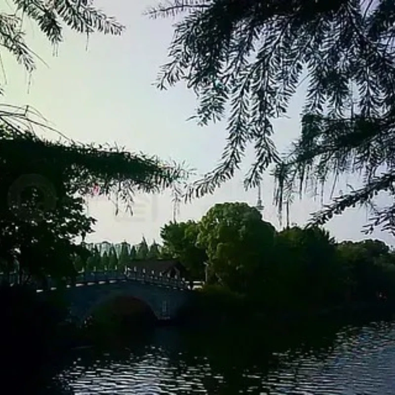 

iFlight Chimera7 Pro V2 O4 Pro Комплект рамы FPV Колесная база 223 мм с рычагом 6 мм для гоночного дрона RC FPV