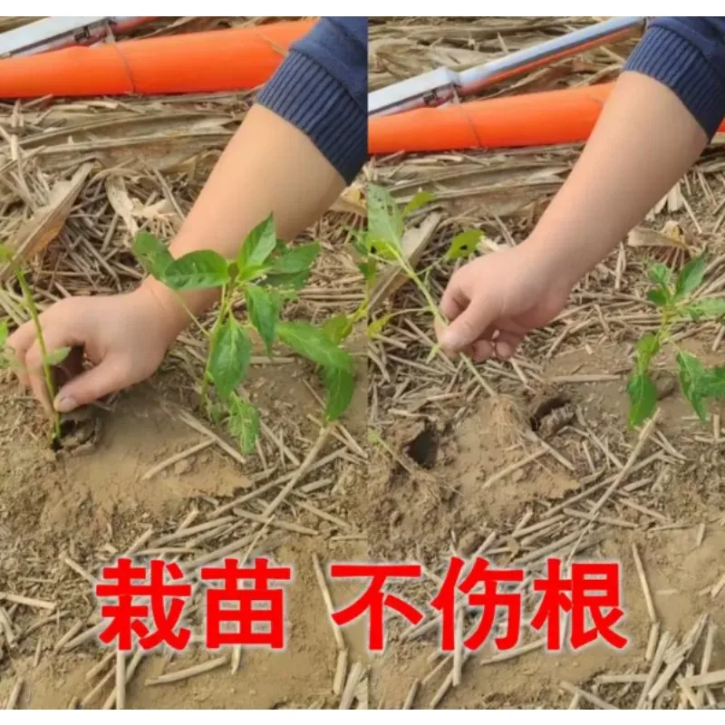 Agricultural Seedling Transplanter Garden Planting Tool for Tomato Pepper Seedling Planting
