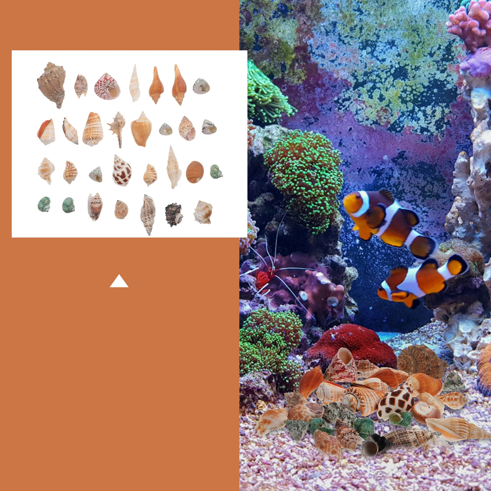 

1Set Decorative Conch Fish Tank Decor Natural Mini Aquarium Conch Ornament Realistic Fish Tank Landscaping Desktop Ornament