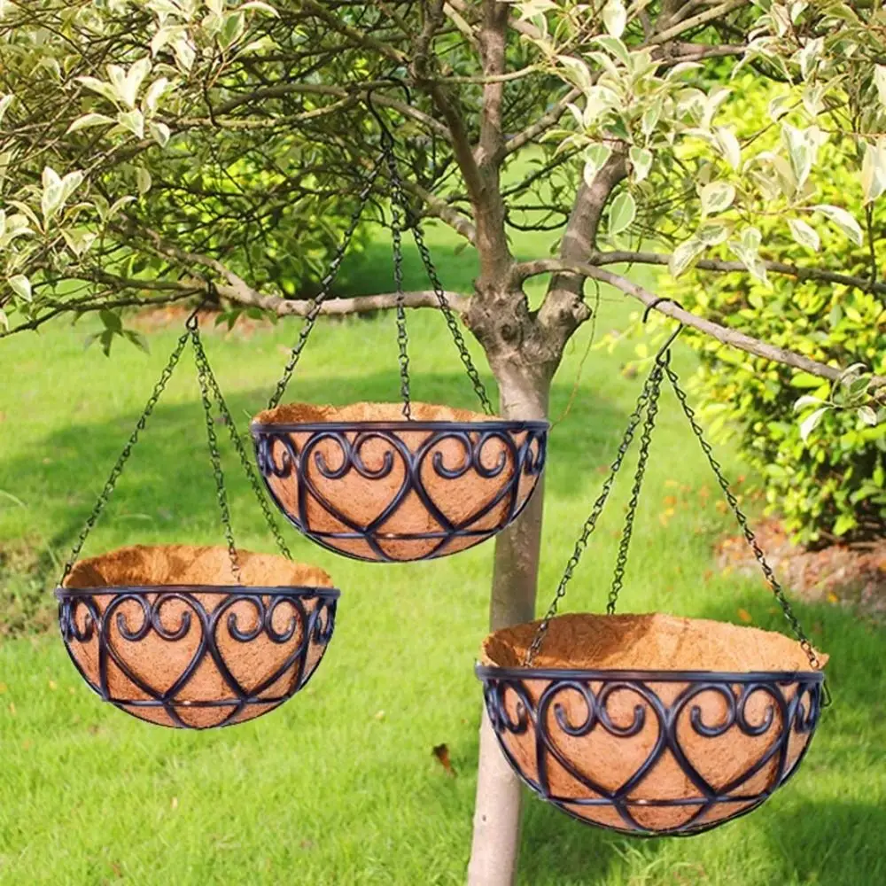 Coconut Brown Round Chain Hanging Basket European Iron Flowerpot Creative Fleshy Green Plant Chlorophytum Comosum Flowerpot